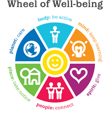 wheel of wellbeing without text